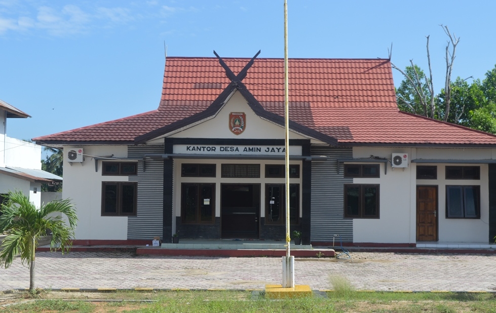 PROGRAM PENYELENGGARAAN PEMERINTAHAN DESA AMIN JAYA